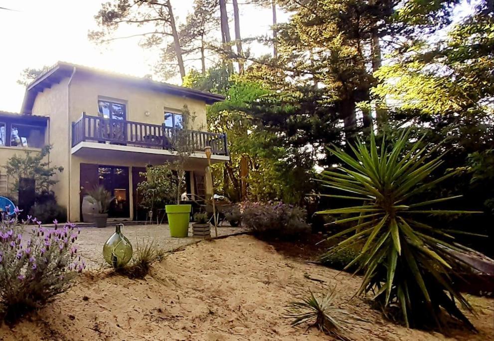 Mon Petit Coin Sous Les Pins Villa La Teste-de-Buch Exterior photo